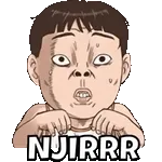                              CUTE ANIMASITOP STICKERS