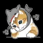 鲨鱼合金