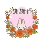 谢谢你一直陪伴我 ❤️