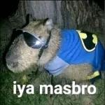 tolol