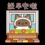 晚安會