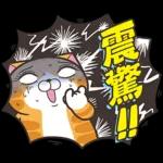 就
言
襄
這看
張看
貼
圖
ding
沒事