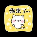 善解人意的貓貓