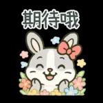 灰兔兔溫馨日常貼圖