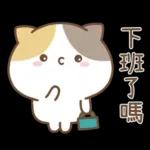 可愛貓貓❤貼心日常❤7