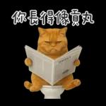 廁所貓貓✩別吵!我在用力✩