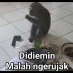 jangan nyolong anjing