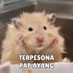 saya suka