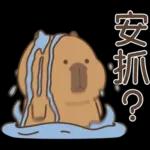 私貨動物園 咔屁大澡堂