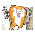 🧸非常感謝🧸	thank U~