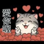 貓系列(4)-灰色虎斑貓