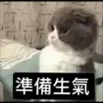 日常百貨