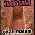 bacot