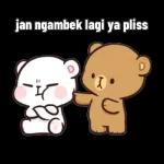 TIDUR TIDUR