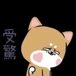 五行欠打？受驚～～～