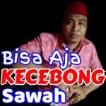 Bisa Aja KECEBONG Sawah