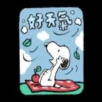 一隻黃色懶貓 x Snoopy 