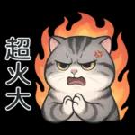 貓系列(4)-灰色虎斑貓