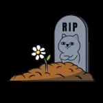 👀｜來看看本週爆款🔥貼圖吧！👀