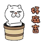 漂亮玫瑰送給最愛的你❤️	🌹🌹🌹