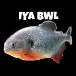 KONOYARO!! BAKAYARO!!