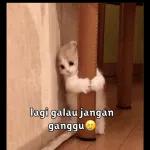 TYPING NYA BENERIN DULU DEK