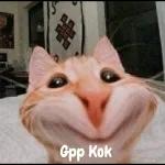 anjing gadenger