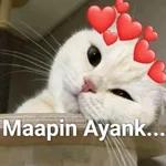 bangun ayank