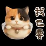 花貓可愛日常實用貼圖