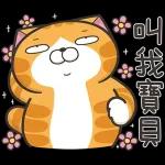 lazycat-25n