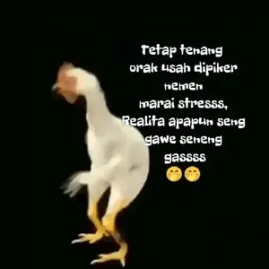 7bAqtb
