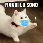 Kucing lucu🐱