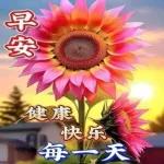 早安，我的朋友