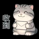 貓系列(4)-灰色虎斑貓