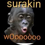 surakin WOooodoo