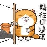 白爛-動態2025-12