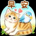 好主意!