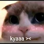 kyaaa ><