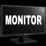 Monitor