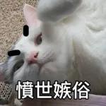 樂狗有話兒~~知我咩料啦