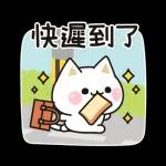 善解人意的貓貓