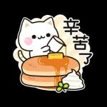 善解人意的貓貓