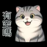 貓系列(4)-灰色虎斑貓