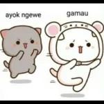 ayok ngewe gamau