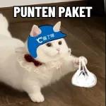 Kucing lucu🐱