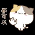可愛貓貓❤貼心日常❤7