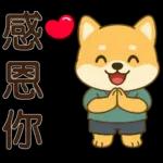 可愛柴犬⭐日常實用貼