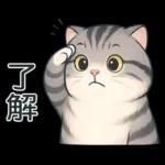 貓系列(4)-灰色虎斑貓