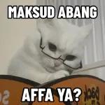 Kucing lucu🐱
