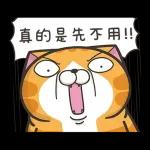 白爛貓☆第１３彈☆ 